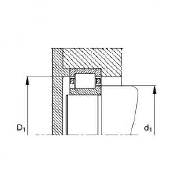 FAG محامل أسطوانية - NJ332-E-M1