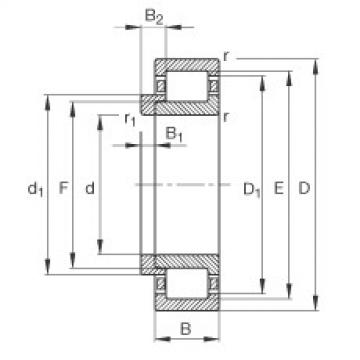 FAG محامل أسطوانية - NJ230-E-XL-M1 + HJ230-E