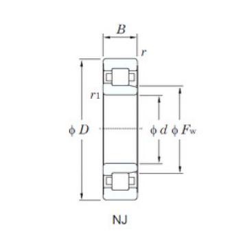 المحامل NJ2234R KOYO