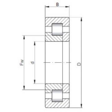 المحامل NUP1011 ISO