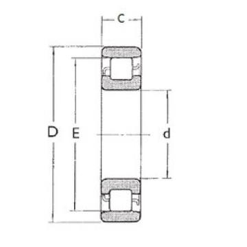 المحامل N1015 FBJ