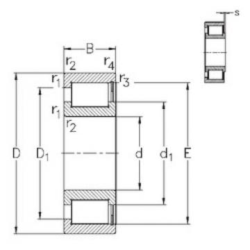 المحامل NCF3044-V NKE