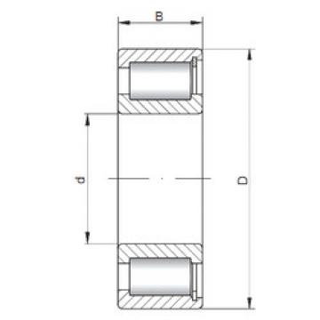 المحامل NCF2228 V ISO