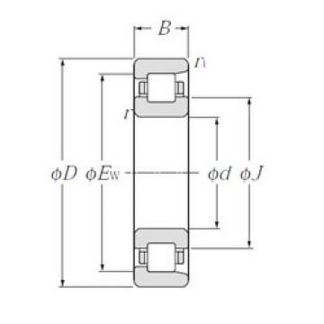 المحامل NF308 CYSD