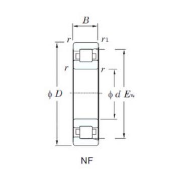 المحامل NF216 KOYO