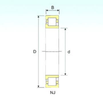 المحامل NJ 2219 ISB