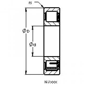 المحامل NJ204 ETN AST