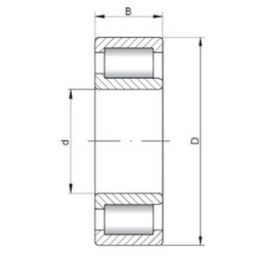 المحامل NJF2307 V CX