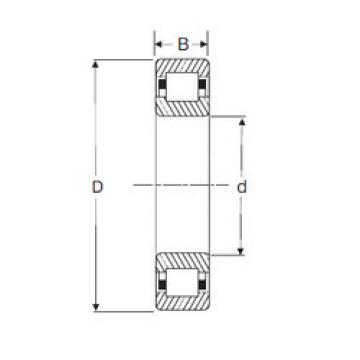 المحامل NUP 217 SIGMA