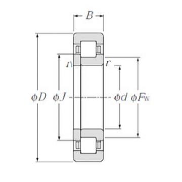 المحامل NUP2204E CYSD