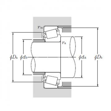 Bearing T-M244249/M244210