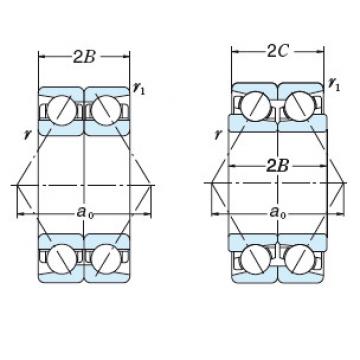 Bearing 60/560X