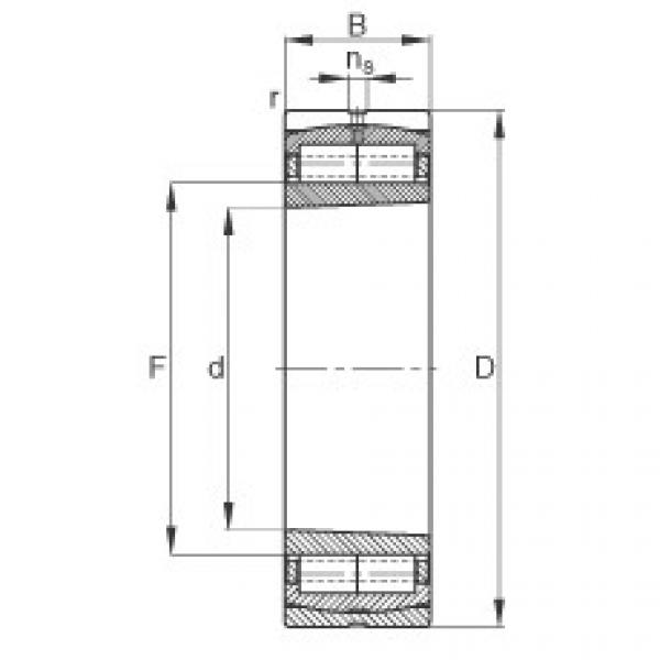 FAG محامل أسطوانية - Z-565688.ZL-K-C5 #1 image