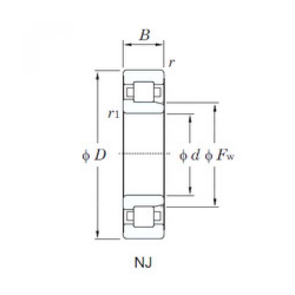 المحامل NJ209R KOYO #1 image