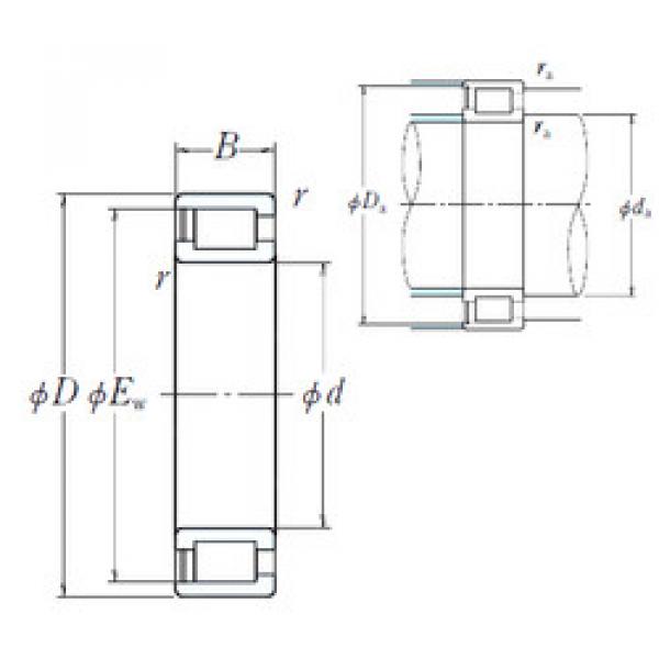 المحامل NCF3028V NSK #1 image