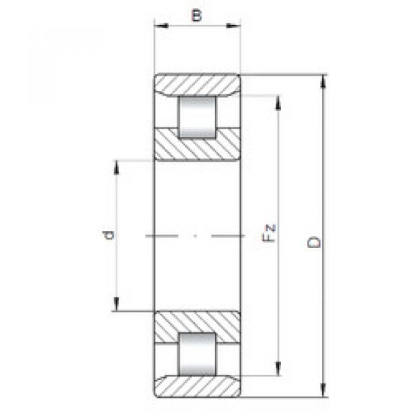 المحامل N19/710 CX #1 image