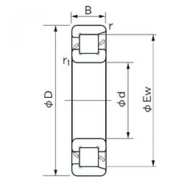 المحامل NF 1007 NACHI #1 image