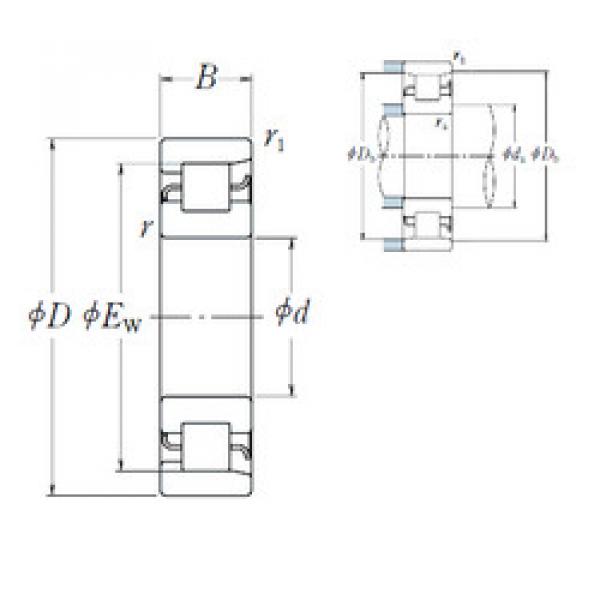 المحامل NF 216 NSK #1 image