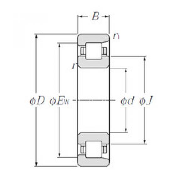 المحامل NF317 NTN #1 image