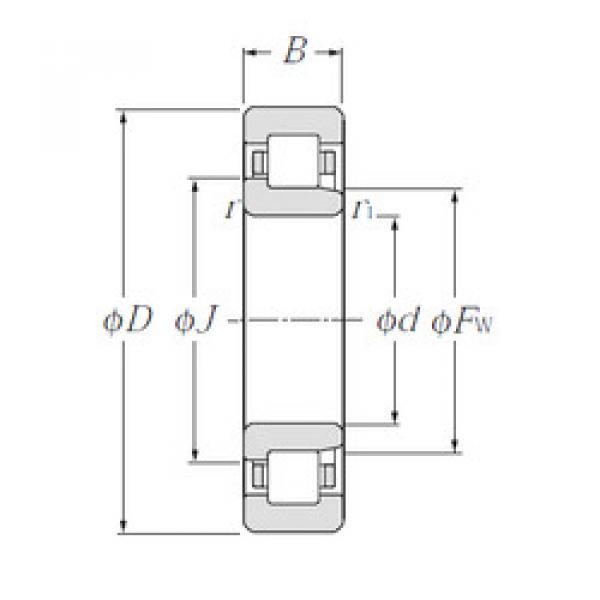 المحامل NJ1021 CYSD #1 image