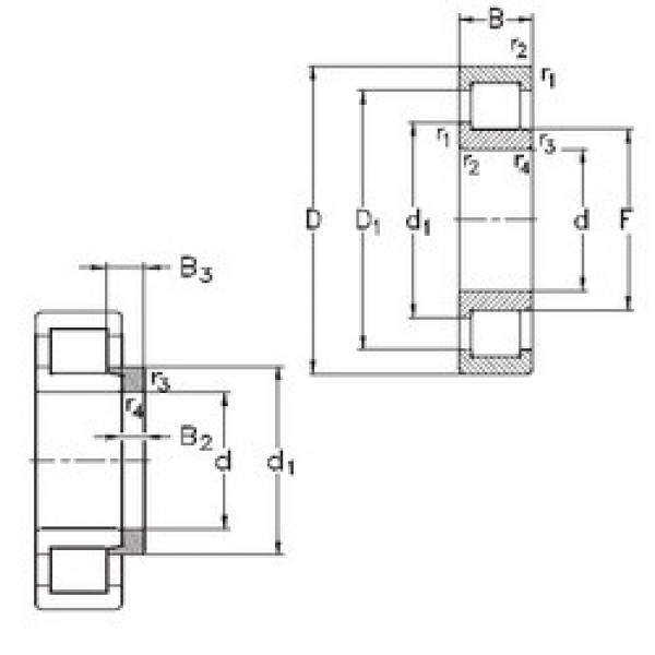 المحامل NJ205-E-MPA+HJ205-E NKE #1 image