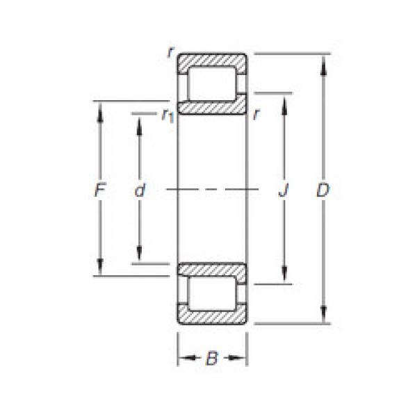 المحامل NJ2205E.TVP Timken #1 image