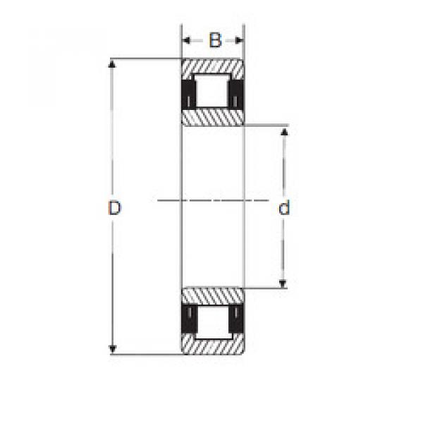 المحامل NU 219 SIGMA #1 image