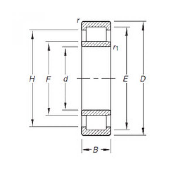 المحامل NU203E.TVP Timken #1 image