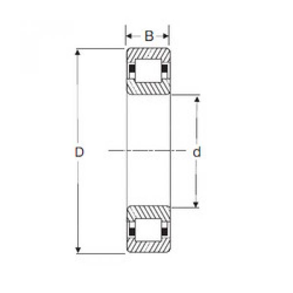 المحامل NUP 217 SIGMA #1 image