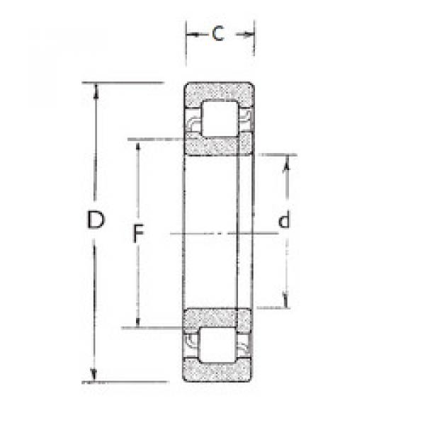 المحامل NUP2206 FBJ #1 image