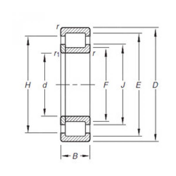 المحامل NUP203E.TVP Timken #1 image