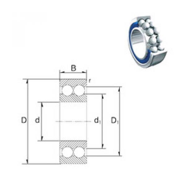 المحامل S3204-2RS ZEN #1 image