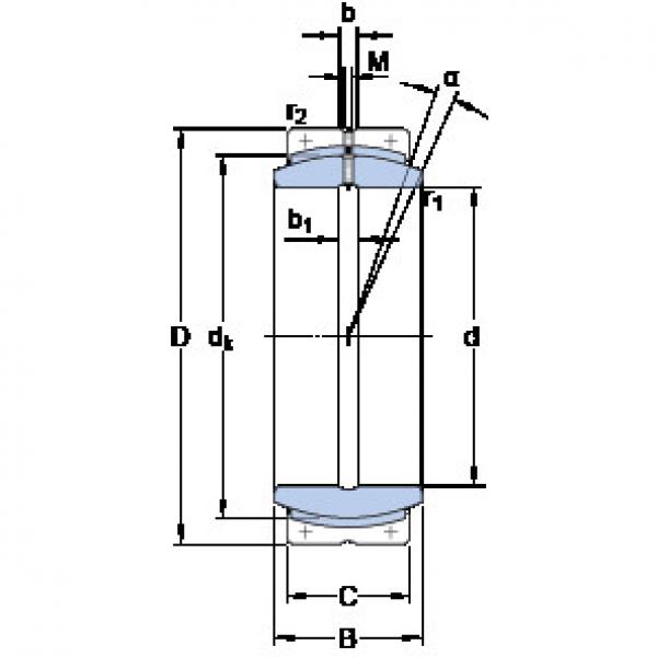 المحامل GEC 420 FBAS SKF #1 image